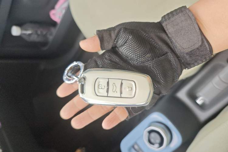 Used Geely Galaxy Panda 2024 Panda Mini 200km Endurance Bear Vehicle Key