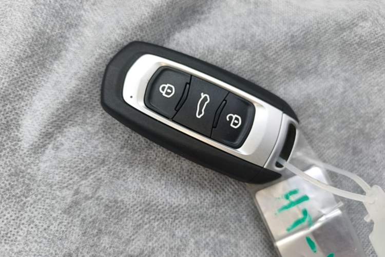 Used Geely Galaxy Panda 2024 Panda Mini 200km Endurance Bear Vehicle Key