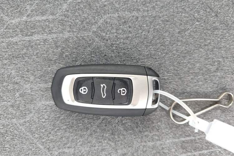 Used Geely Galaxy Panda 2024 Panda Mini 200km Endurance Bear Vehicle Key