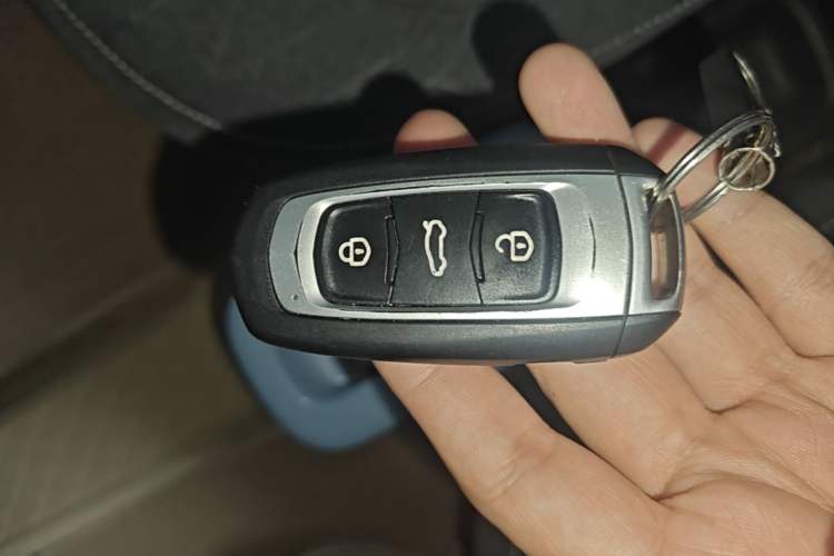 Used Geely Galaxy Panda 2024 Panda Mini 200km Endurance Bear Vehicle Key
