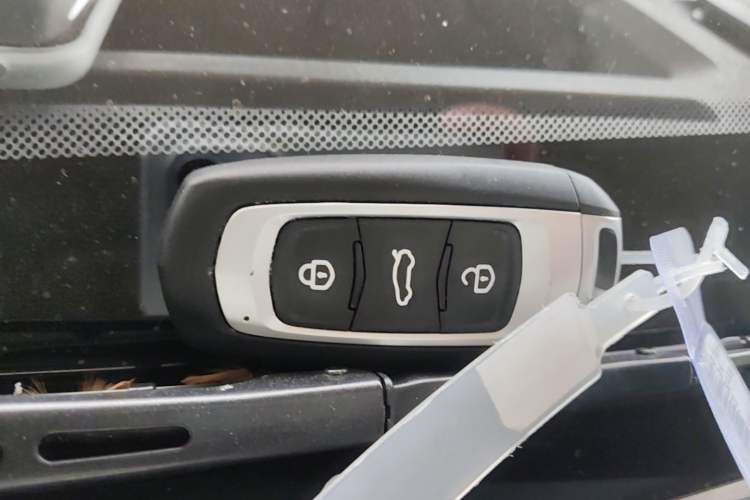Used Geely Galaxy Panda 2024 Panda Mini 200km Endurance Bear Vehicle Key