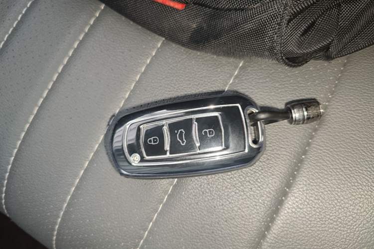 Used Geely Galaxy Panda 2024 Panda Mini 200km Endurance Bear Vehicle Key
