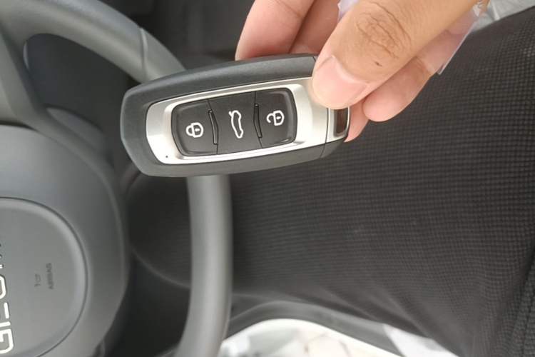 Used Geely Galaxy Panda 2024 Panda Mini 200km Endurance Bear Vehicle Key