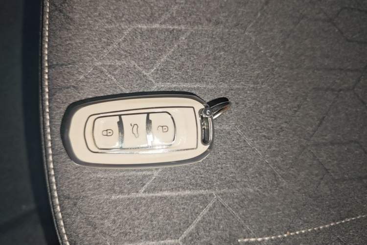 Used Geely Galaxy Panda 2024 Panda Mini 200km Endurance Bear Vehicle Key