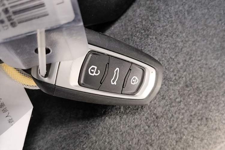 Used Geely Galaxy Panda 2024 Panda Mini 200km Endurance Bear Vehicle Key