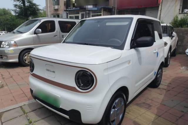 Used Geely Galaxy Panda 2024 Panda Mini 200km Endurance Bear