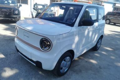 Used Geely Galaxy Panda 2024 Panda Mini 200km Endurance Bear