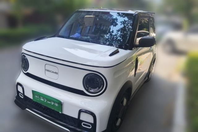 Used Geely Galaxy Panda 2024 200km Panda Kart