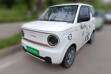 Used Geely Galaxy Panda 2024 Panda Mini 200km Endurance Bear