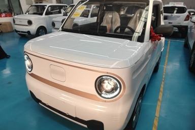 Used Geely Galaxy Panda 2024 Panda Mini 200km Endurance Bear
