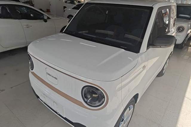 Used Geely Galaxy Panda 2024 Panda Mini 200km Endurance Bear