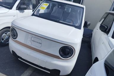 Used Geely Galaxy Panda 2024 Panda Mini 200km Endurance Bear