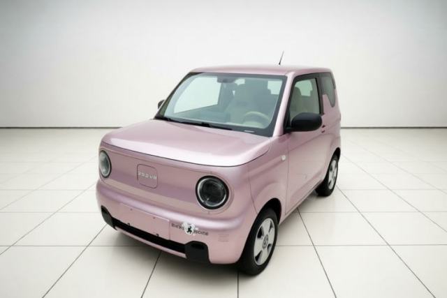 Używany Geely Galaxy Panda 2024 Panda Mini 200km Endurance Bear