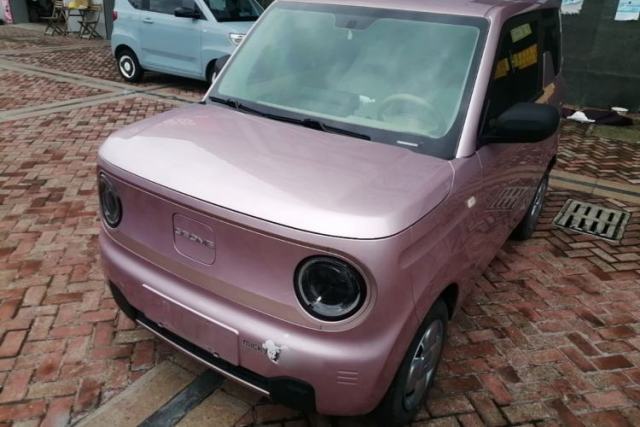 Geely Galaxy Panda 2024 Panda Mini 200km Endurance Bear usado