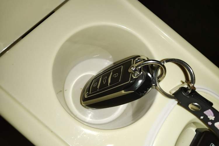 Used Geely Galaxy Panda 2024 200km Panda Rider Vehicle Key