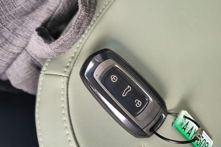Used Geely Galaxy Panda 2024 200km Panda Rider Vehicle Key