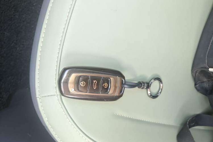 Used Geely Galaxy Panda 2024 200km Panda Rider Vehicle Key