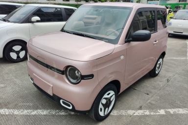 Used Geely Galaxy Panda 2025 210 km – Yuanqi Bear