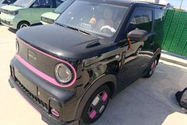 Used Geely Galaxy Panda 2025 210km Panda Kart