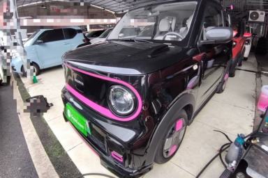 Used Geely Galaxy Panda 2025 210km Panda Kart