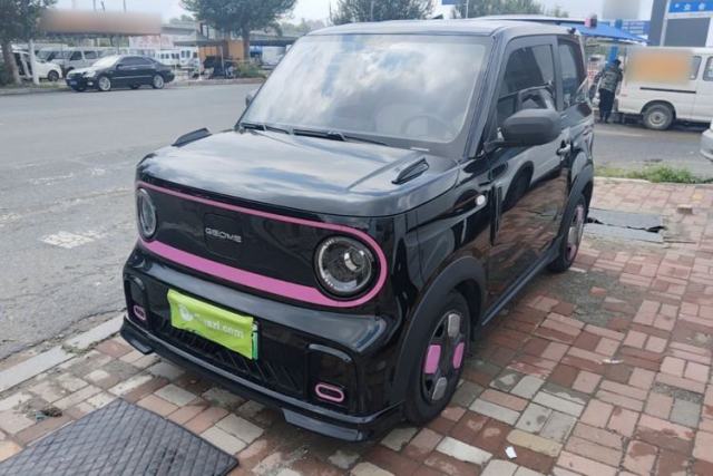 Used Geely Galaxy Panda 2025 210km Panda Kart