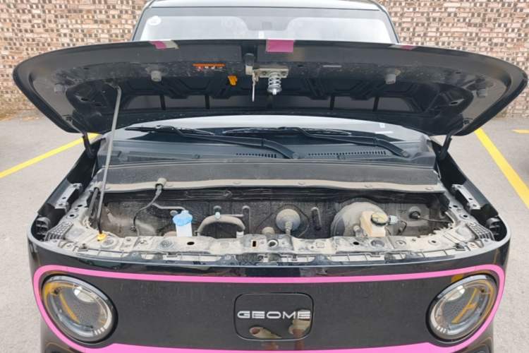 Used Geely Galaxy Panda 2025 210km Panda Kart Engine Bay