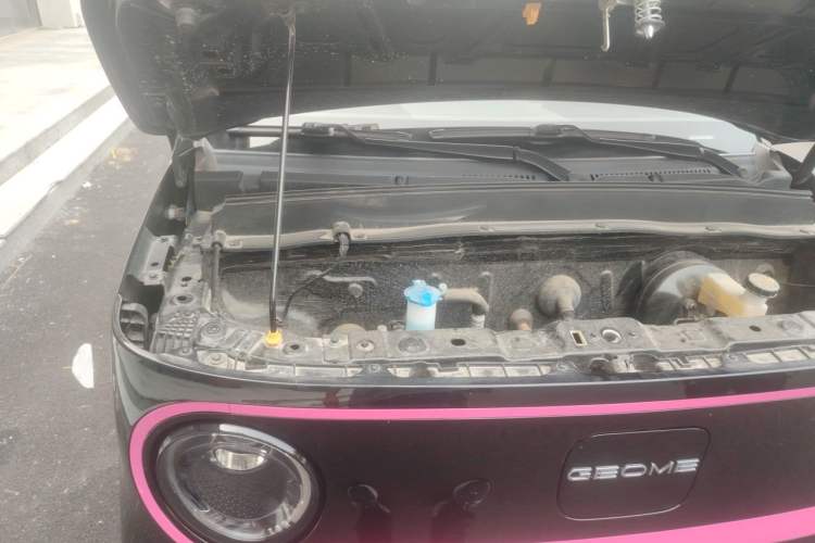 Used Geely Galaxy Panda 2025 210km Panda Kart Engine Bay Right