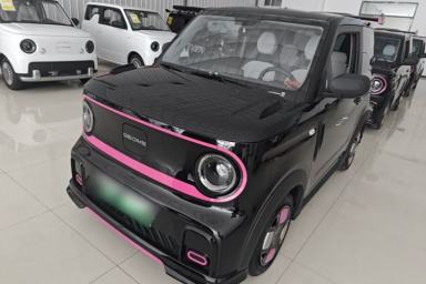 Used Geely Galaxy Panda 2025 210km Panda Kart