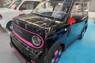 Used Geely Galaxy Panda 2025 210km Panda Kart