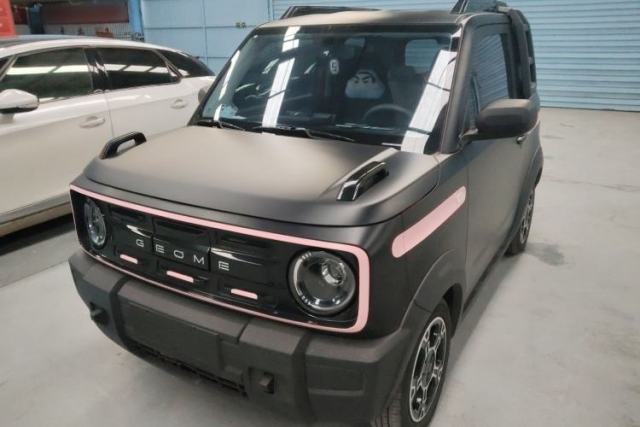 Used Geely Galaxy Panda 2025 210km Panda Rider