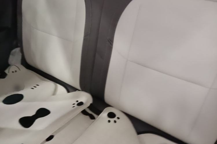 Used Geely Galaxy Panda 2025 210km Panda Kart Left Rear Seat