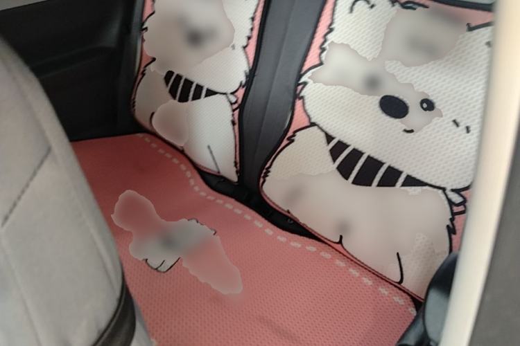 Used Geely Galaxy Panda 2025 210km Panda Kart Left Rear Seat