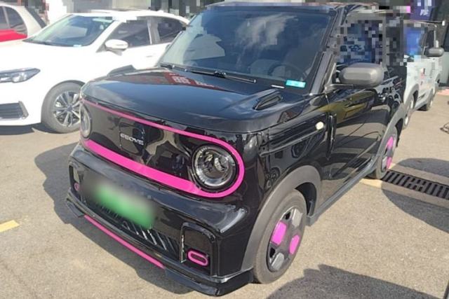 Used Geely Galaxy Panda 2025 210km Panda Kart