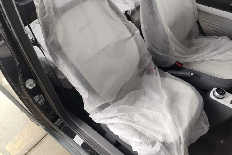 Used Geely Galaxy Panda 2025 210km Panda Kart Right Front Seat