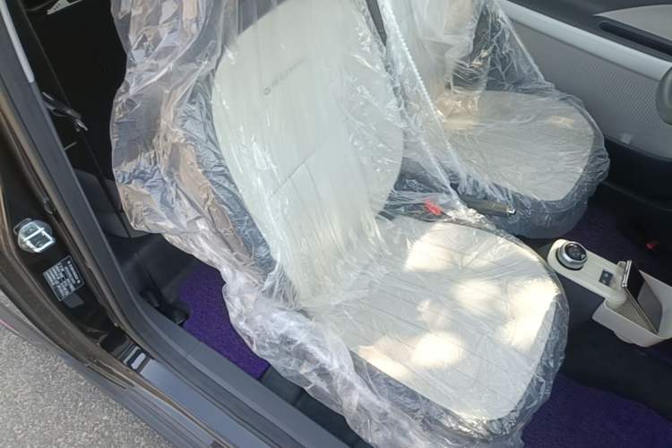 Used Geely Galaxy Panda 2025 210km Panda Kart Right Front Seat