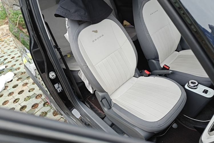 Used Geely Galaxy Panda 2025 210km Panda Kart Right Front Seat