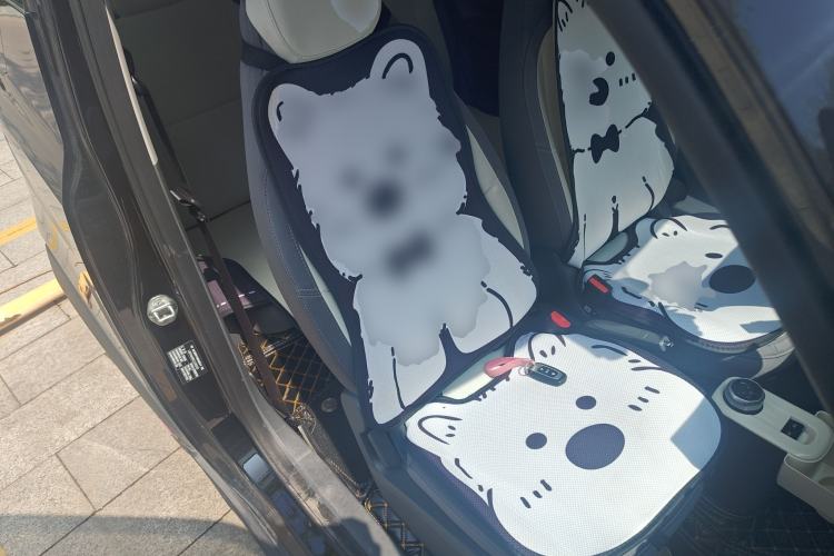 Used Geely Galaxy Panda 2025 210km Panda Kart Right Front Seat