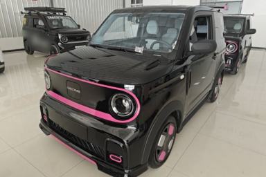 Used Geely Galaxy Panda 2025 210km Panda Kart