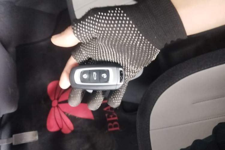 Used Geely Galaxy Panda 2025 210km Panda Kart Vehicle Key