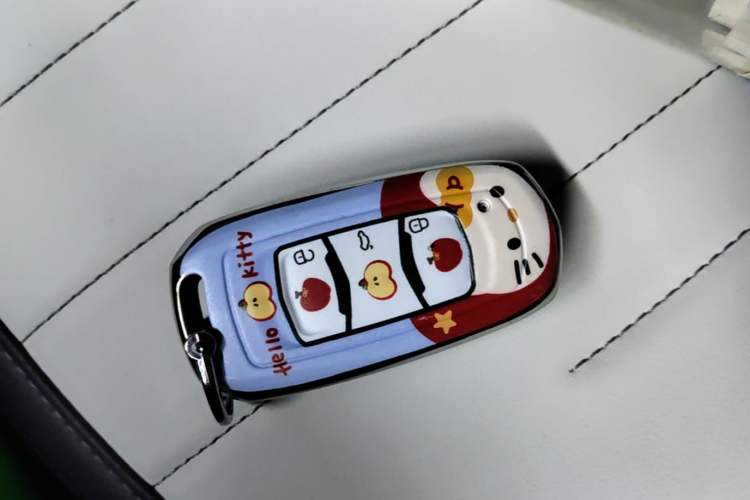 Used Geely Galaxy Panda 2025 210km Panda Kart Vehicle Key