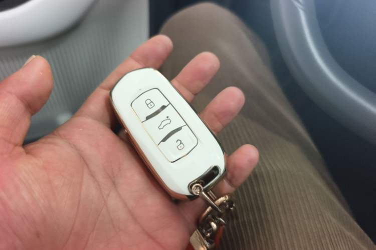 Used Geely Galaxy Panda 2025 210km Panda Kart Vehicle Key