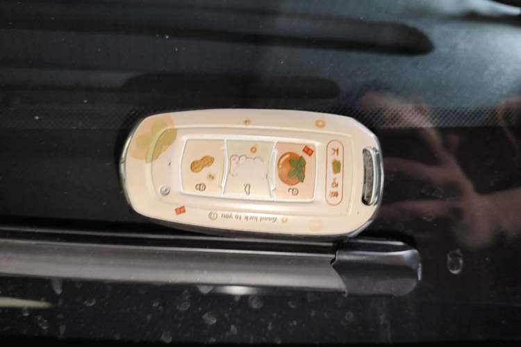 Used Geely Galaxy Panda 2025 210km Panda Kart Vehicle Key