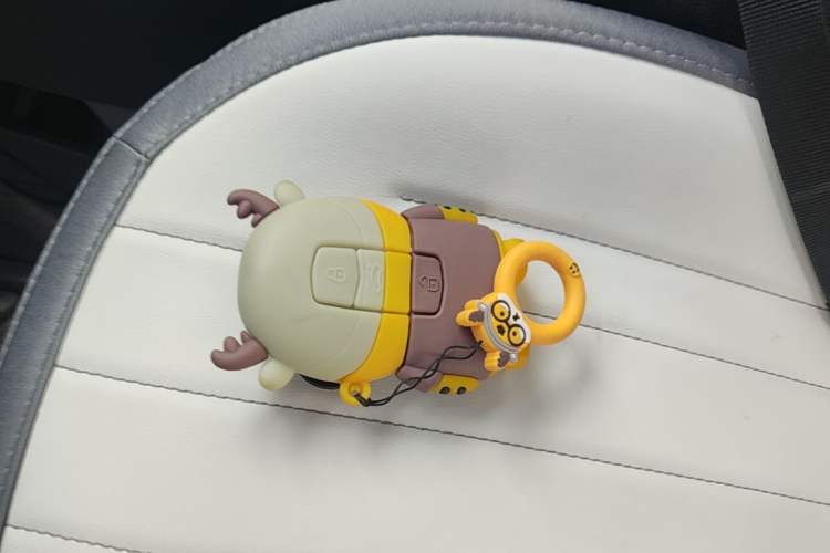 Used Geely Galaxy Panda 2025 210km Panda Kart Vehicle Key
