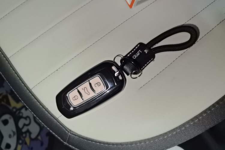 Used Geely Galaxy Panda 2025 210km Panda Kart Vehicle Key