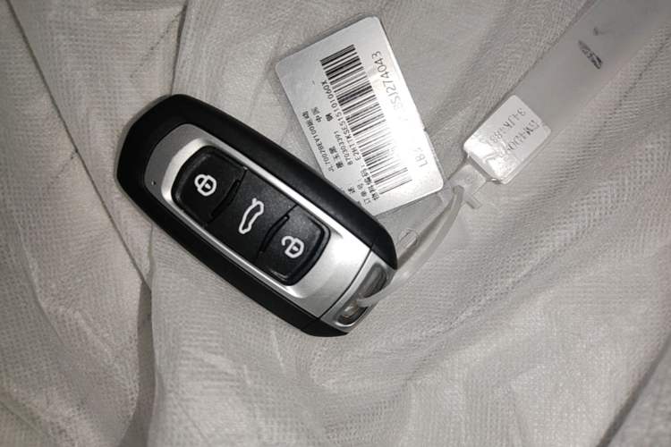 Used Geely Galaxy Panda 2025 210km Panda Kart Vehicle Key