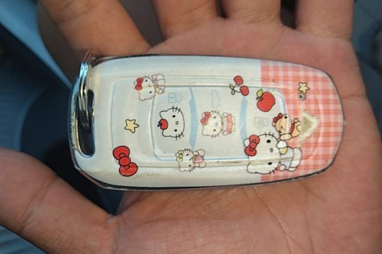 Used Geely Galaxy Panda 2025 210km Panda Kart Vehicle Key