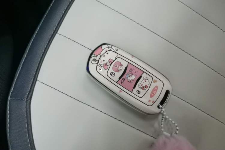 Used Geely Galaxy Panda 2025 210km Panda Kart Vehicle Key