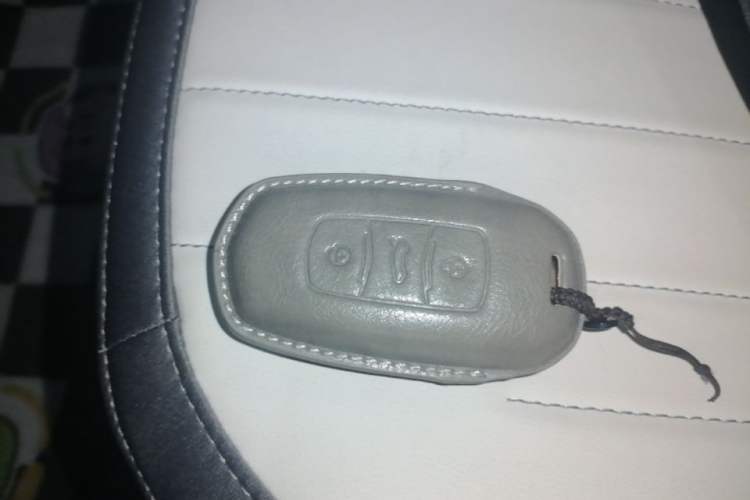 Used Geely Galaxy Panda 2025 210km Panda Kart Vehicle Key