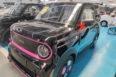 Used Geely Galaxy Panda 2025 210km Panda Kart