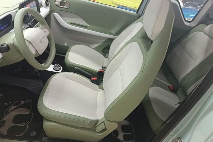 Used Geely Galaxy Panda 2025 210 km – Yuanqi Bear Left Front Seat
